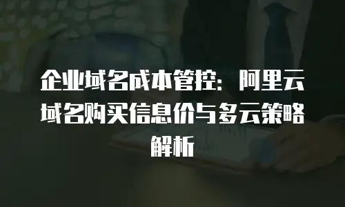 企业域名成本管控：阿里云域名购买信息价与多云策略解析
