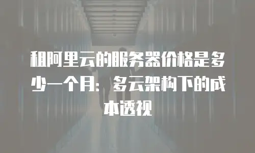 租阿里云的服务器价格是多少一个月：多云架构下的成本透视