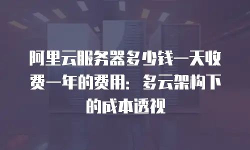 阿里云服务器多少钱一天收费一年的费用：多云架构下的成本透视