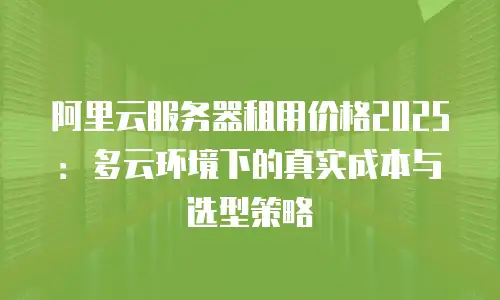 阿里云服务器租用价格2025：多云环境下的真实成本与选型策略