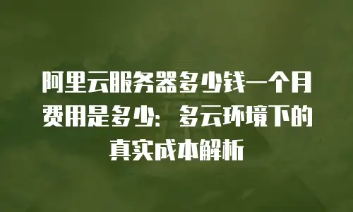 阿里云服务器多少钱一个月费用是多少：多云环境下的真实成本解析