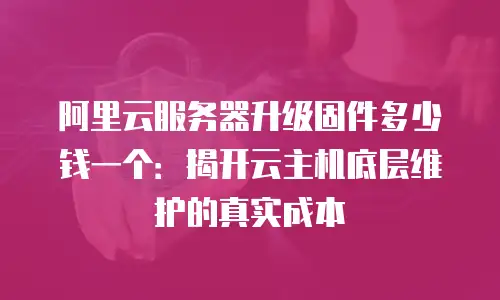 阿里云服务器升级固件多少钱一个：揭开云主机底层维护的真实成本