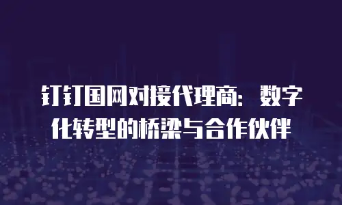 钉钉国网对接代理商：数字化转型的桥梁与合作伙伴