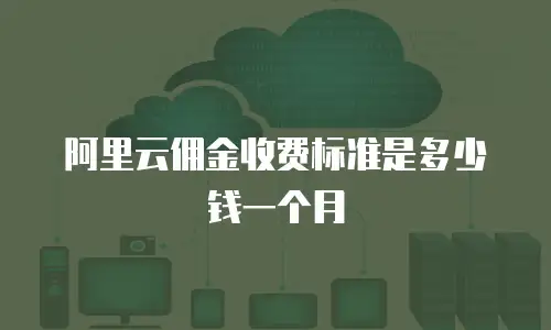 阿里云佣金收费标准是多少钱一个月