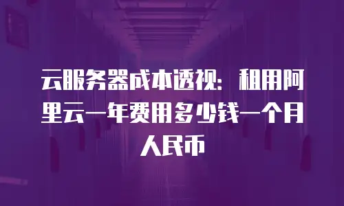 云服务器成本透视：租用阿里云一年费用多少钱一个月人民币