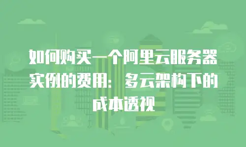 如何购买一个阿里云服务器实例的费用：多云架构下的成本透视