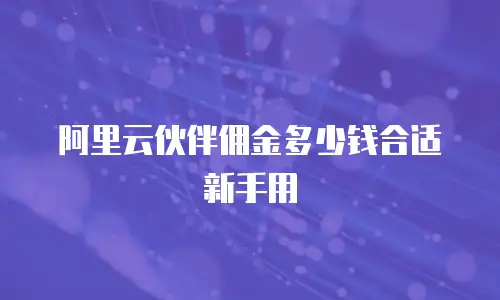 阿里云伙伴佣金多少钱合适新手用