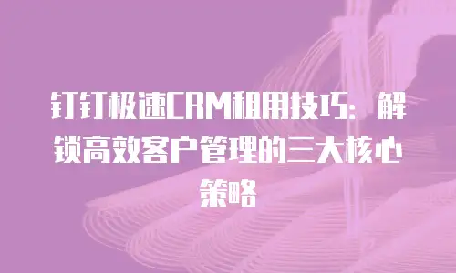 钉钉极速CRM租用技巧：解锁高效客户管理的三大核心策略