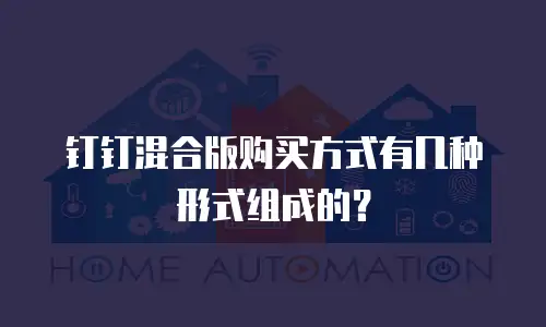 钉钉混合版购买方式有几种形式组成的？