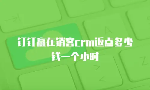 钉钉赢在销客crm返点多少钱一个小时