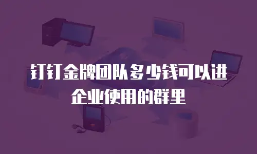 钉钉金牌团队多少钱可以进企业使用的群里