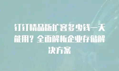 钉钉精品版扩容多少钱一天能用？全面解析企业存储解决方案