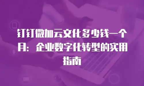 钉钉微加云文化多少钱一个月：企业数字化转型的实用指南