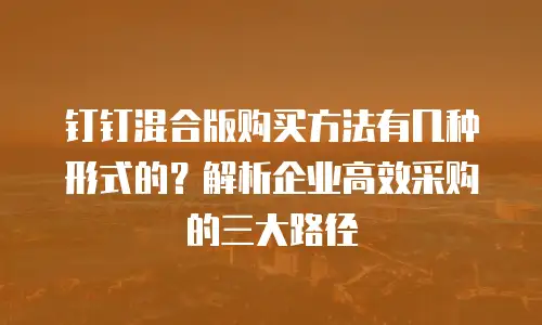 钉钉混合版购买方法有几种形式的？解析企业高效采购的三大路径