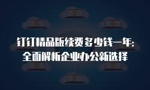 钉钉精品版续费多少钱一年：全面解析企业办公新选择