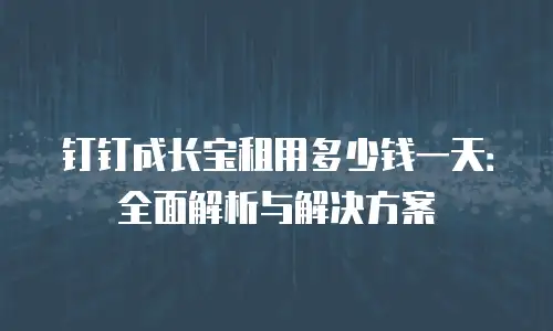 钉钉成长宝租用多少钱一天：全面解析与解决方案