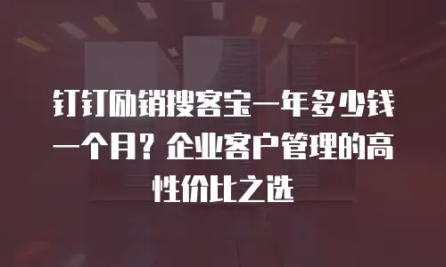 钉钉励销搜客宝一年多少钱一个月？企业客户管理的高性价比之选
