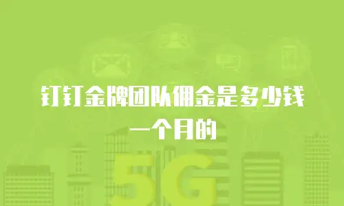 钉钉金牌团队佣金是多少钱一个月的