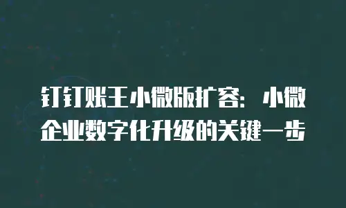 钉钉账王小微版扩容：小微企业数字化升级的关键一步