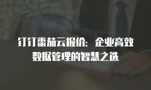 钉钉番茄云报价：企业高效数据管理的智慧之选