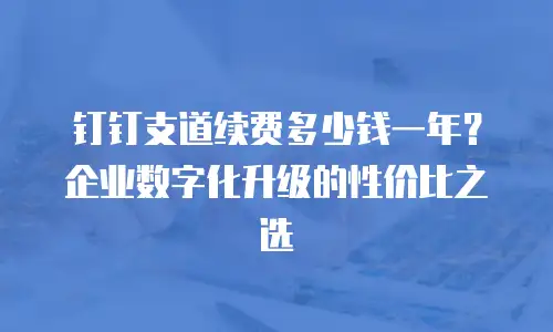 钉钉支道续费多少钱一年？企业数字化升级的性价比之选
