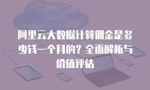 阿里云大数据计算佣金是多少钱一个月的？全面解析与价值评估