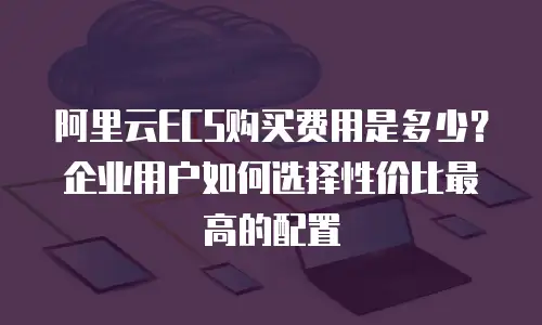 阿里云ECS购买费用是多少？企业用户如何选择性价比最高的配置