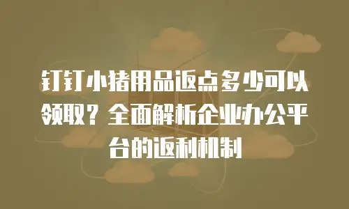 钉钉小猪用品返点多少可以领取？全面解析企业办公平台的返利机制