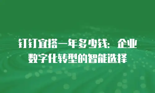 钉钉宜搭一年多少钱：企业数字化转型的智能选择