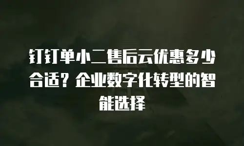钉钉单小二售后云优惠多少合适？企业数字化转型的智能选择