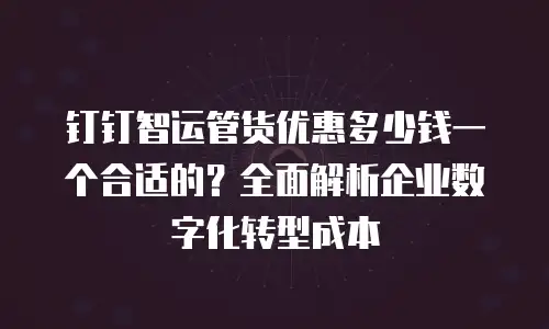 钉钉智运管货优惠多少钱一个合适的？全面解析企业数字化转型成本
