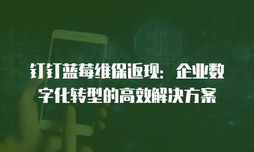 钉钉蓝莓维保返现：企业数字化转型的高效解决方案