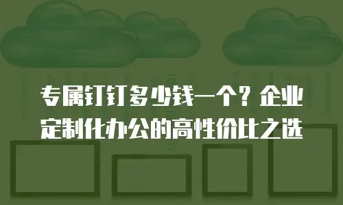 专属钉钉多少钱一个？企业定制化办公的高性价比之选