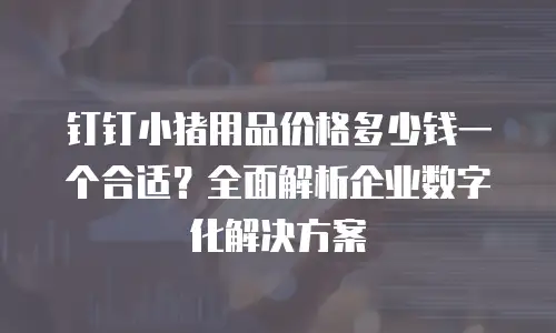 钉钉小猪用品价格多少钱一个合适？全面解析企业数字化解决方案