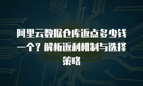 阿里云数据仓库返点多少钱一个？解析返利机制与选择策略