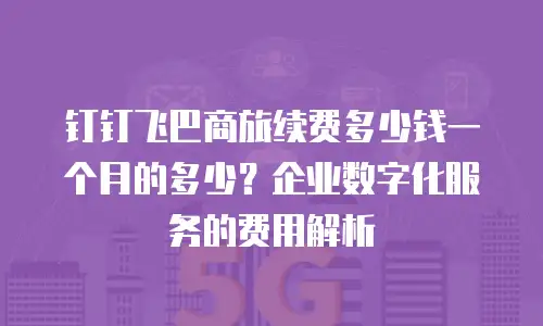 钉钉飞巴商旅续费多少钱一个月的多少？企业数字化服务的费用解析