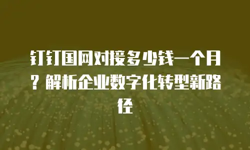 钉钉国网对接多少钱一个月？解析企业数字化转型新路径