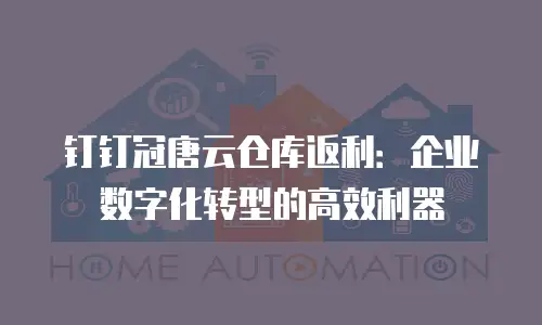 钉钉冠唐云仓库返利：企业数字化转型的高效利器