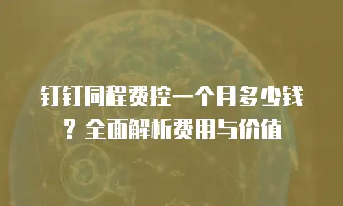 钉钉同程费控一个月多少钱？全面解析费用与价值