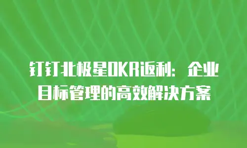 钉钉北极星OKR返利：企业目标管理的高效解决方案