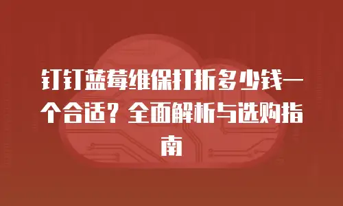 钉钉蓝莓维保打折多少钱一个合适？全面解析与选购指南