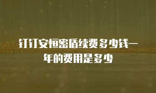 钉钉安恒密盾续费多少钱一年的费用是多少