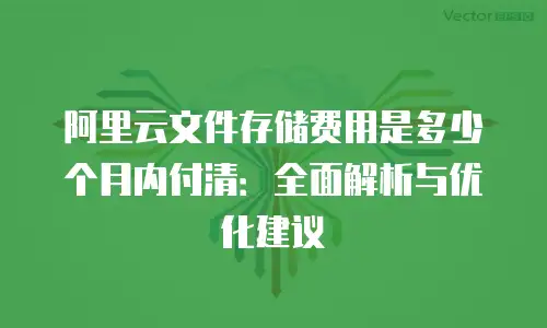 阿里云文件存储费用是多少个月内付清：全面解析与优化建议