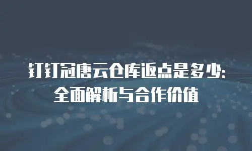 钉钉冠唐云仓库返点是多少：全面解析与合作价值