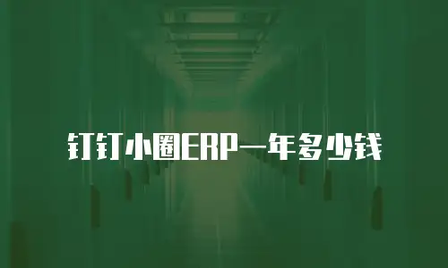 钉钉小圈ERP一年多少钱