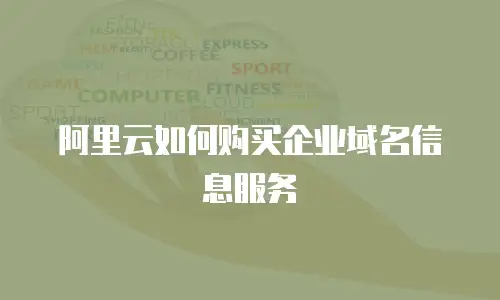 阿里云如何购买企业域名信息服务