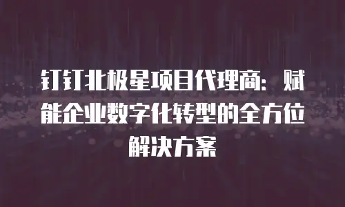 钉钉北极星项目代理商：赋能企业数字化转型的全方位解决方案