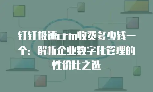 钉钉极速crm收费多少钱一个：解析企业数字化管理的性价比之选