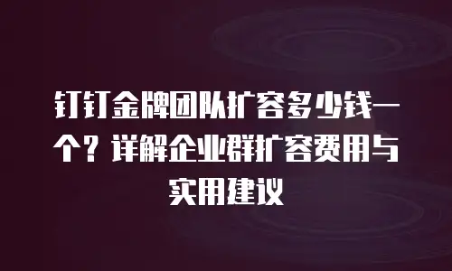 钉钉金牌团队扩容多少钱一个？详解企业群扩容费用与实用建议