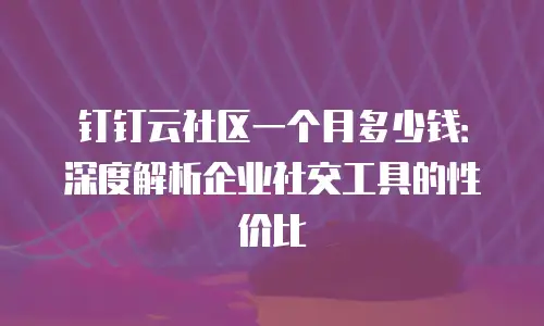 钉钉云社区一个月多少钱：深度解析企业社交工具的性价比